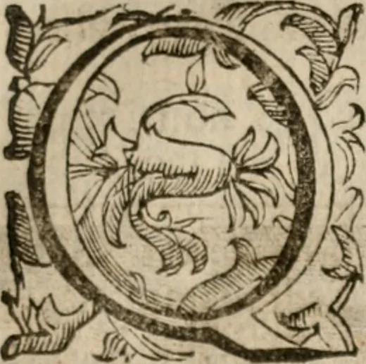 An illustration from Imprese sacre con triplicati discorsi, illustrate & arricchite. Con le aggiuntione [sic] ultimamente fattevi dall'istesso autore et in questa terza impressione, con sei copiosissime tavole molto più che prima adornate, 1629, leaf 822