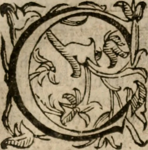 An illustration from Imprese sacre con triplicati discorsi, illustrate & arricchite. Con le aggiuntione [sic] ultimamente fattevi dall'istesso autore et in questa terza impressione, con sei copiosissime tavole molto più che prima adornate, 1629, leaf 838