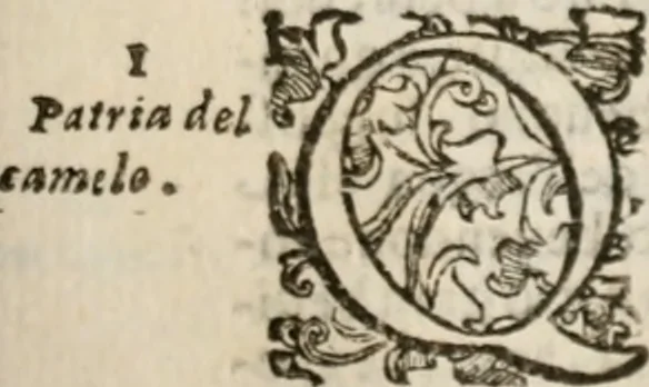 An illustration from Imprese sacre con triplicati discorsi, illustrate & arricchite. Con le aggiuntione [sic] ultimamente fattevi dall'istesso autore et in questa terza impressione, con sei copiosissime tavole molto più che prima adornate, 1629, leaf 1000