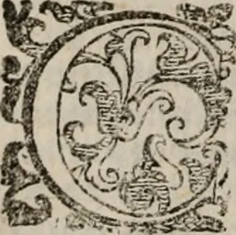 An illustration from Imprese sacre con triplicati discorsi, illustrate & arricchite. Con le aggiuntione [sic] ultimamente fattevi dall'istesso autore et in questa terza impressione, con sei copiosissime tavole molto più che prima adornate, 1629, leaf 1077