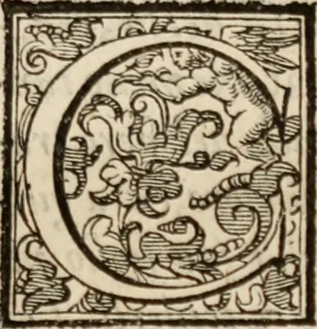 An illustration from Imprese sacre con triplicati discorsi, illustrate & arricchite. Con le aggiuntione [sic] ultimamente fattevi dall'istesso autore et in questa terza impressione, con sei copiosissime tavole molto più che prima adornate, 1629, leaf 12