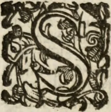 An illustration from Imprese sacre con triplicati discorsi, illustrate & arricchite. Con le aggiuntione [sic] ultimamente fattevi dall'istesso autore et in questa terza impressione, con sei copiosissime tavole molto più che prima adornate, 1629, leaf 1308