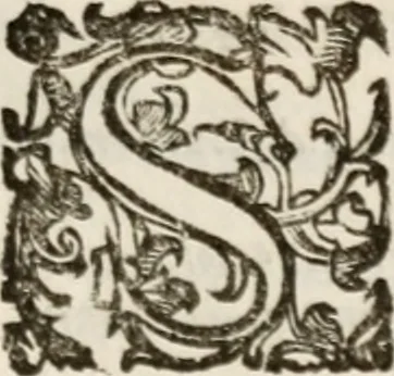 An illustration from Imprese sacre con triplicati discorsi, illustrate & arricchite. Con le aggiuntione [sic] ultimamente fattevi dall'istesso autore et in questa terza impressione, con sei copiosissime tavole molto più che prima adornate, 1629, leaf 1406