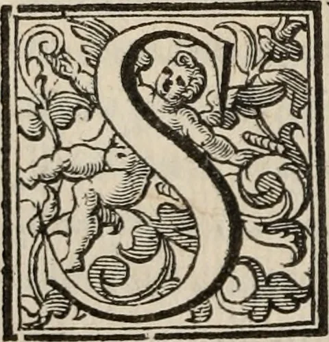 An illustration from Imprese sacre con triplicati discorsi, illustrate & arricchite. Con le aggiuntione [sic] ultimamente fattevi dall'istesso autore et in questa terza impressione, con sei copiosissime tavole molto più che prima adornate, 1629, leaf 15