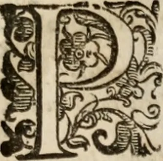 An illustration from Imprese sacre con triplicati discorsi, illustrate & arricchite. Con le aggiuntione [sic] ultimamente fattevi dall'istesso autore et in questa terza impressione, con sei copiosissime tavole molto più che prima adornate, 1629, leaf 228
