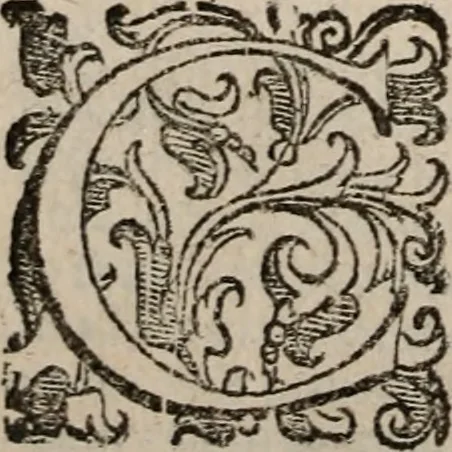 An illustration from Imprese sacre con triplicati discorsi, illustrate & arricchite. Con le aggiuntione [sic] ultimamente fattevi dall'istesso autore et in questa terza impressione, con sei copiosissime tavole molto più che prima adornate, 1629, leaf 519