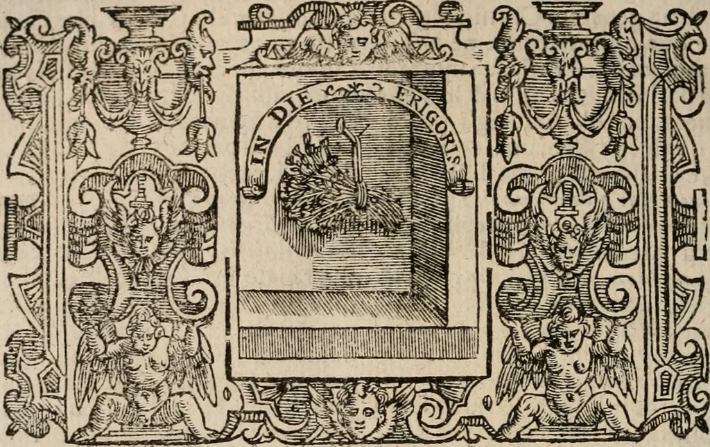 An illustration from Imprese sacre con triplicati discorsi, illustrate & arricchite. Con le aggiuntione [sic] ultimamente fattevi dall'istesso autore et in questa terza impressione, con sei copiosissime tavole molto più che prima adornate, 1629, leaf 551
