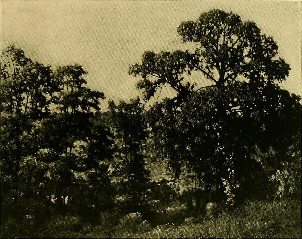 An illustration from Impressions of the art at the Panama-Pacific Exposition, 1916, leaf 138