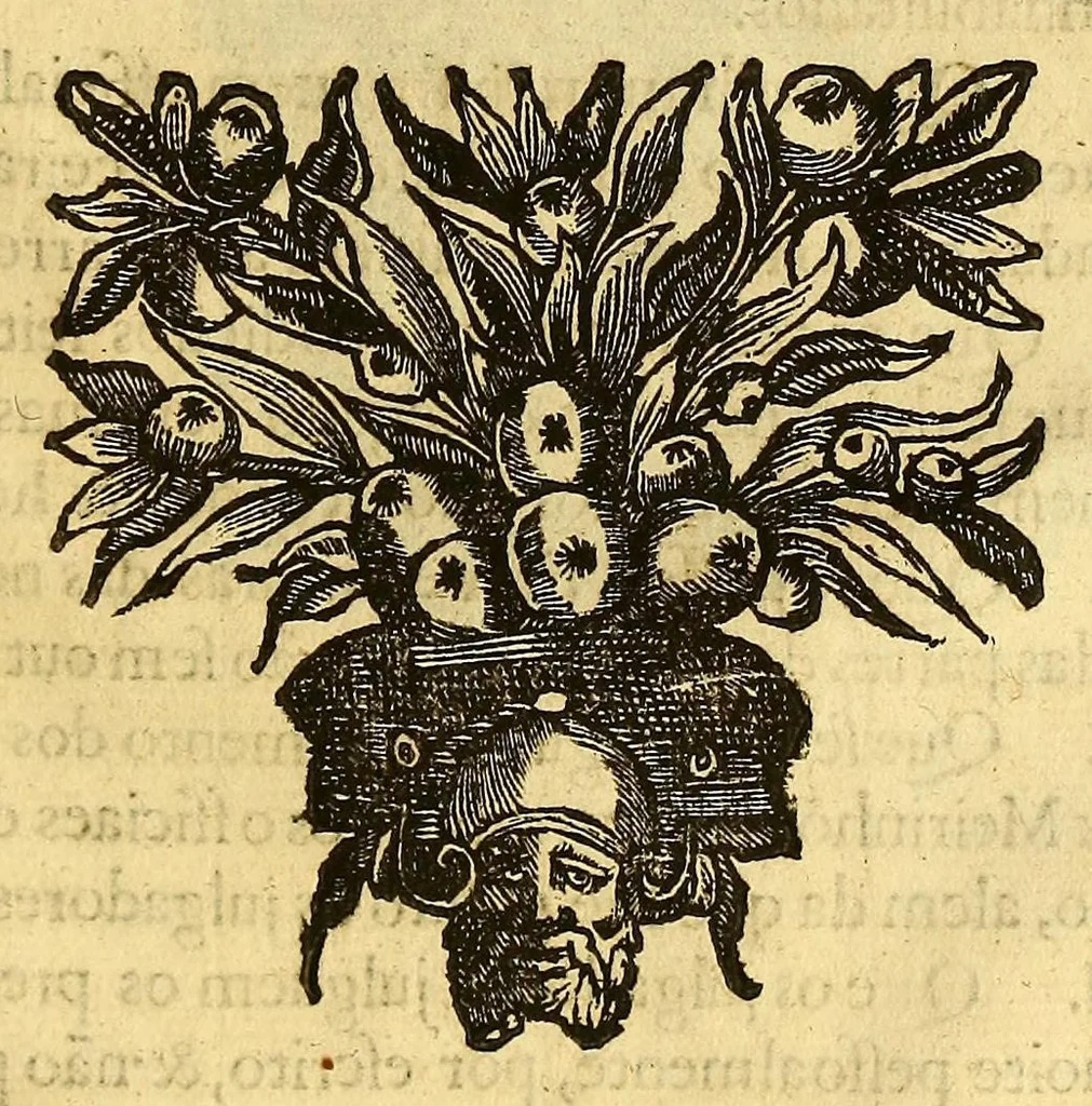 An illustration from Impressão das leys de Cortes. : Leys que el Rey D. Ioão o IIII. Nosso Senhor fez, & mandou publicar em conformidade das repostas que mandou dar a alguns dos capitulos dos tres estados, offerecidos nas cortes gèraes do anno de 1641. por cumprir ao bom governo, & administração da iustiça, 1648, leaf 29