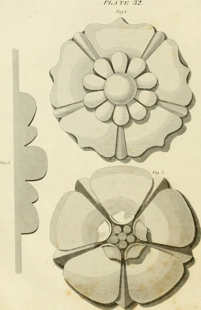 An illustration from An improved and enlarged edition of Biddle's young carpenter's assistant : being a complete system of architecture for carpenters, joiners, and workmen in general, adapted to the style of building in the United States ; revised and corrected, with several additional articles, and forty-eight new designs, chiefly of full size, working drawings of modern finish, in detail ; particularly adapted for country use, 1833, leaf 95