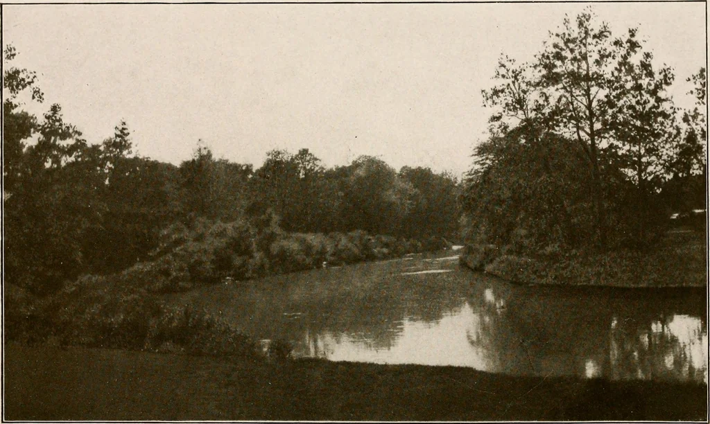 An illustration from Improvement of Fort Wayne Indiana; report for Fort Wayne Civic Improvement Association, 1909, leaf 110