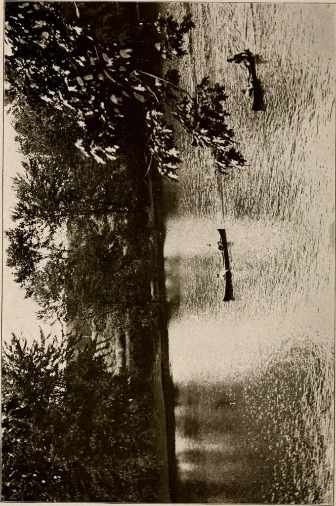 An illustration from Improvement of Fort Wayne Indiana; report for Fort Wayne Civic Improvement Association, 1909, leaf 127