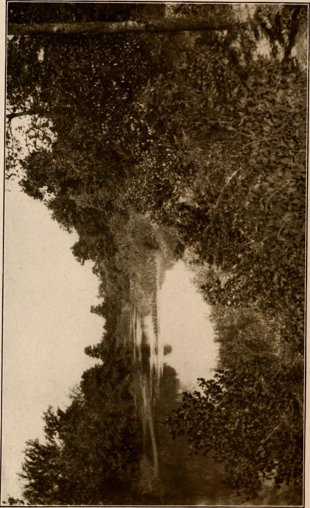 An illustration from Improvement of Fort Wayne Indiana; report for Fort Wayne Civic Improvement Association, 1909, leaf 133