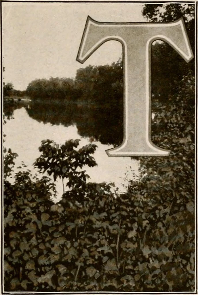 An illustration from Improvement of Fort Wayne Indiana; report for Fort Wayne Civic Improvement Association, 1909, leaf 16