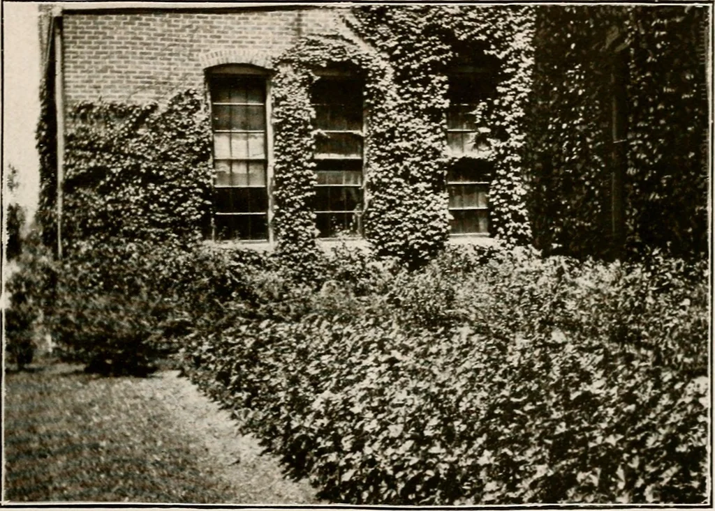 An illustration from Improvement of Fort Wayne Indiana; report for Fort Wayne Civic Improvement Association, 1909, leaf 62