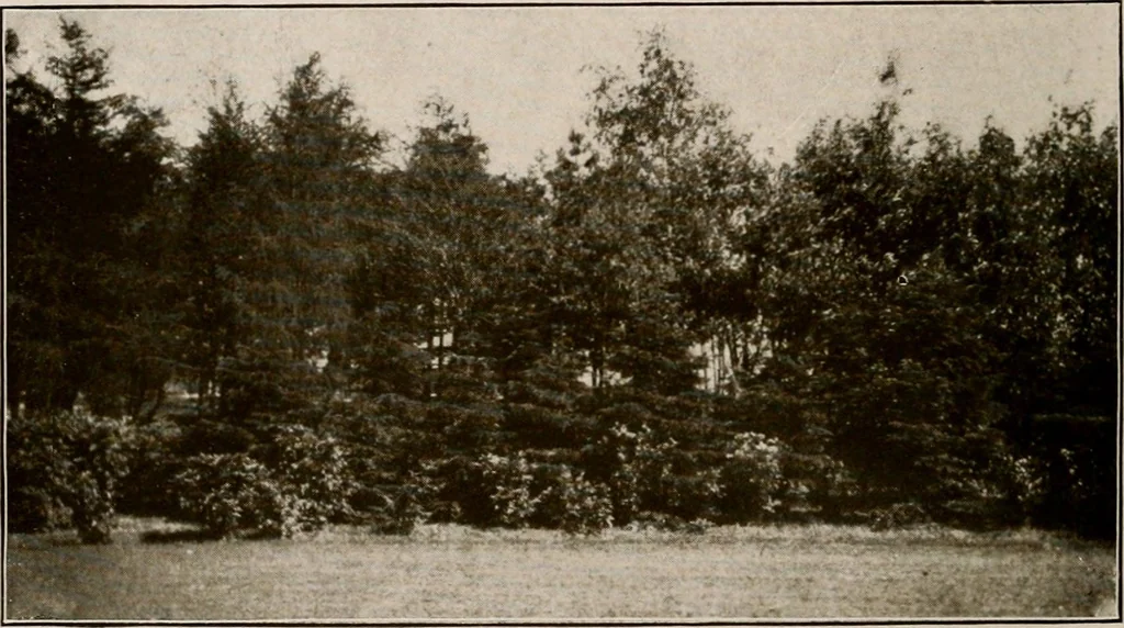 An illustration from Improvement of Fort Wayne Indiana; report for Fort Wayne Civic Improvement Association, 1909, leaf 85