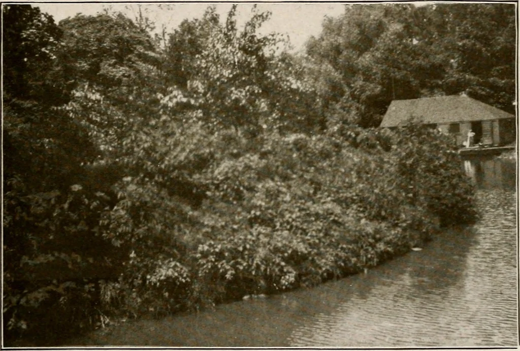 An illustration from Improvement of Fort Wayne Indiana; report for Fort Wayne Civic Improvement Association, 1909, leaf 86
