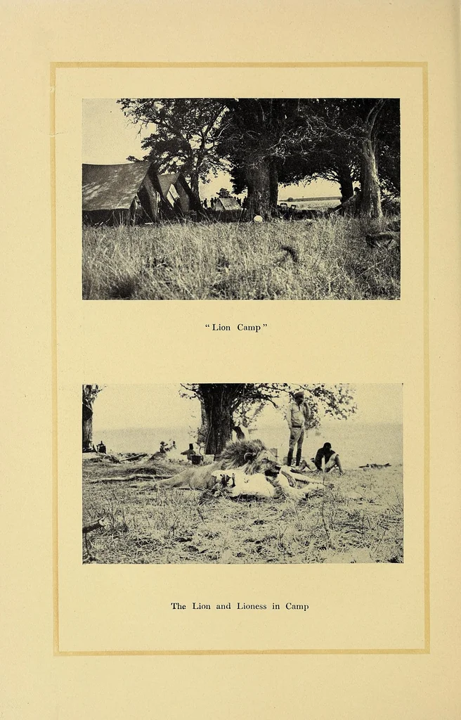 An illustration from In Africa : hunting adventures in the big game country, 1910, leaf 126