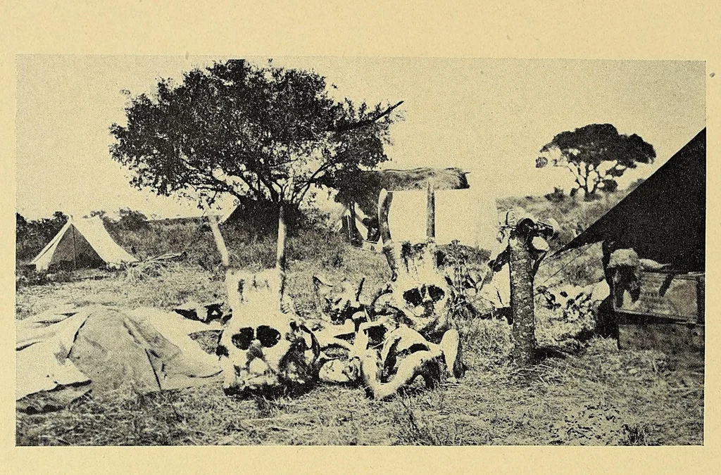 An illustration from In Africa : hunting adventures in the big game country, 1910, leaf 214