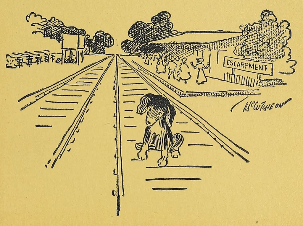 An illustration from In Africa : hunting adventures in the big game country, 1910, leaf 305