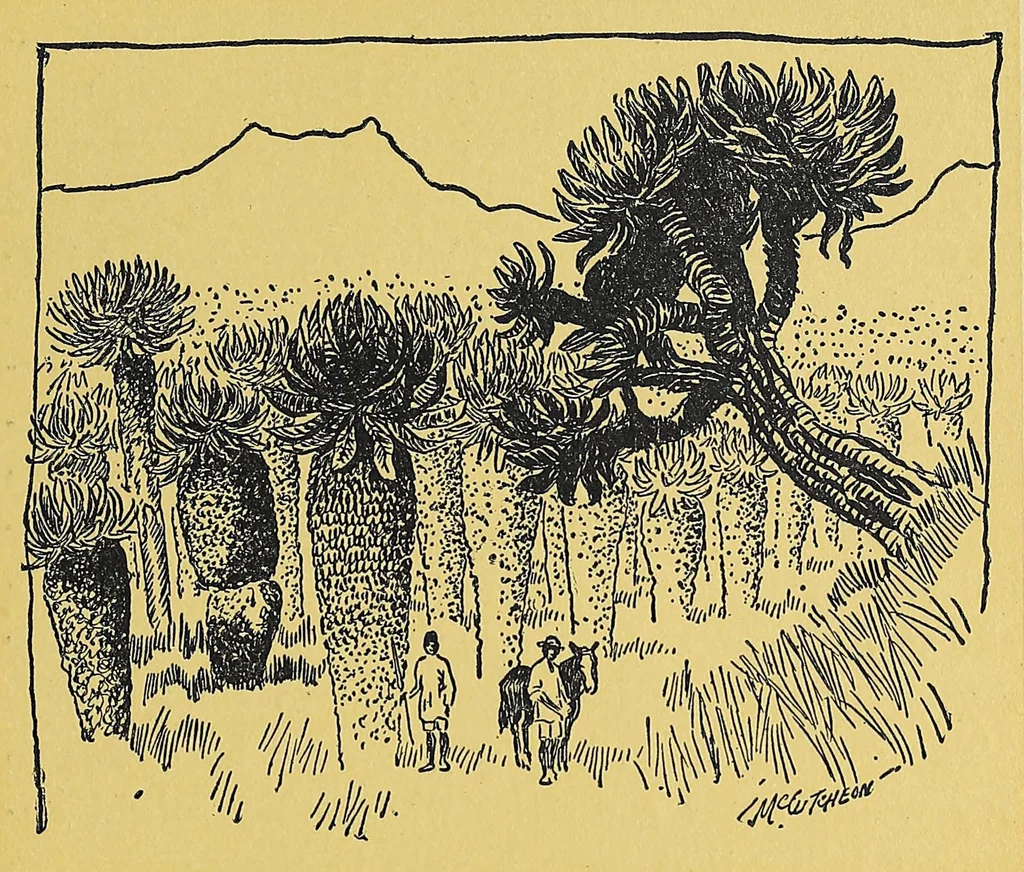 An illustration from In Africa : hunting adventures in the big game country, 1910, leaf 395