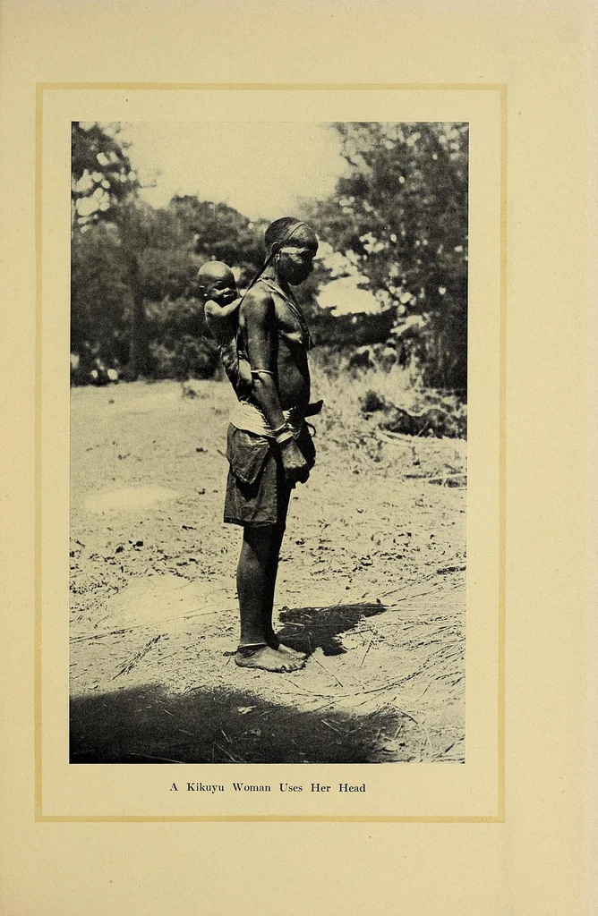 An illustration from In Africa : hunting adventures in the big game country, 1910, leaf 419