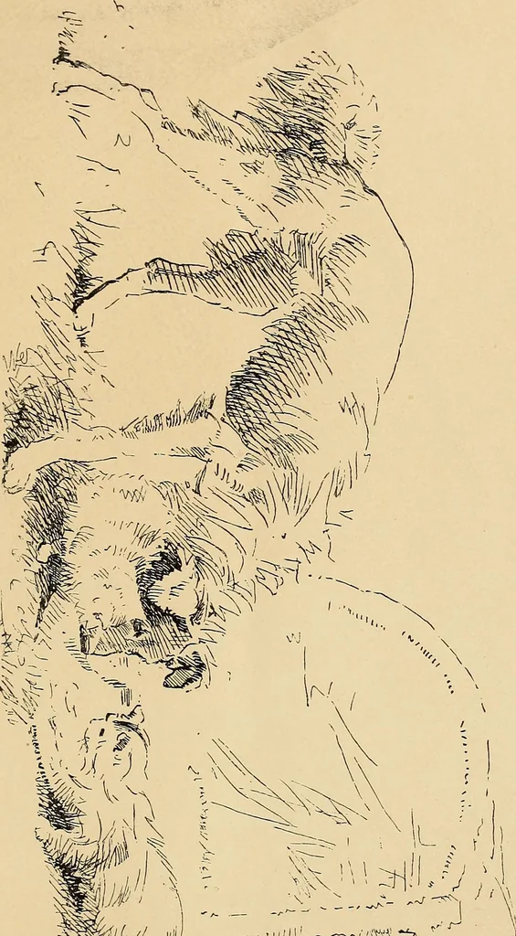 An illustration from Inauguration of new galleries, works from the salon of '84 and other American paintings contributed by the artists, 1884, leaf 18