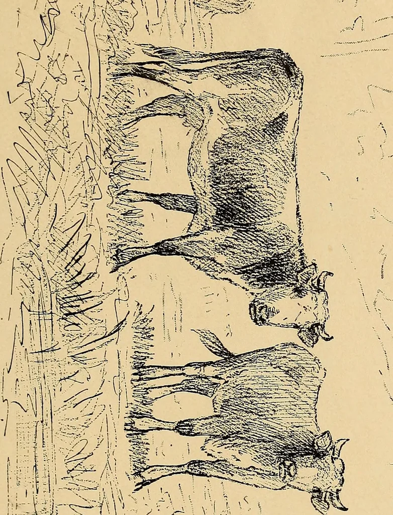 An illustration from Inauguration of new galleries, works from the salon of '84 and other American paintings contributed by the artists, 1884, leaf 30