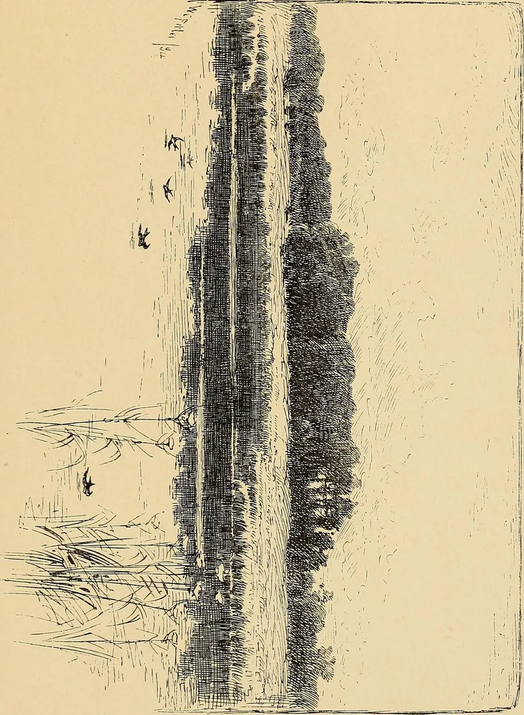 An illustration from Inauguration of new galleries, works from the salon of '84 and other American paintings contributed by the artists, 1884, leaf 64