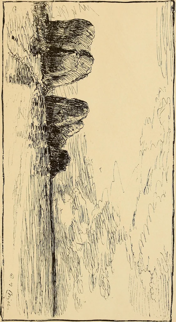 An illustration from Inauguration of new galleries, works from the salon of '84 and other American paintings contributed by the artists, 1884, leaf 82