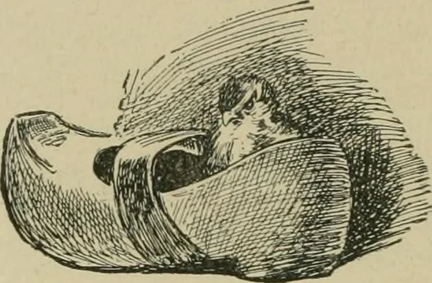 An illustration from In the child's world; morning talks and stories for kindergartens, primary schools and homes, 1893, leaf 147
