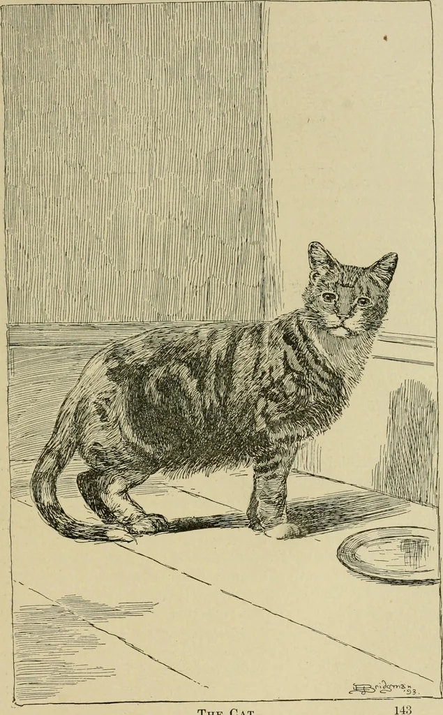 An illustration from In the child's world; morning talks and stories for kindergartens, primary schools and homes, 1893, leaf 160
