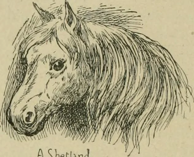 An illustration from In the child's world; morning talks and stories for kindergartens, primary schools and homes, 1893, leaf 165