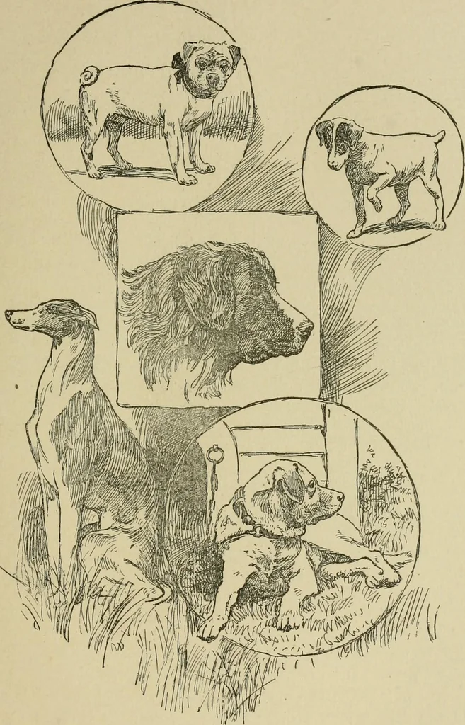 An illustration from In the child's world; morning talks and stories for kindergartens, primary schools and homes, 1893, leaf 196