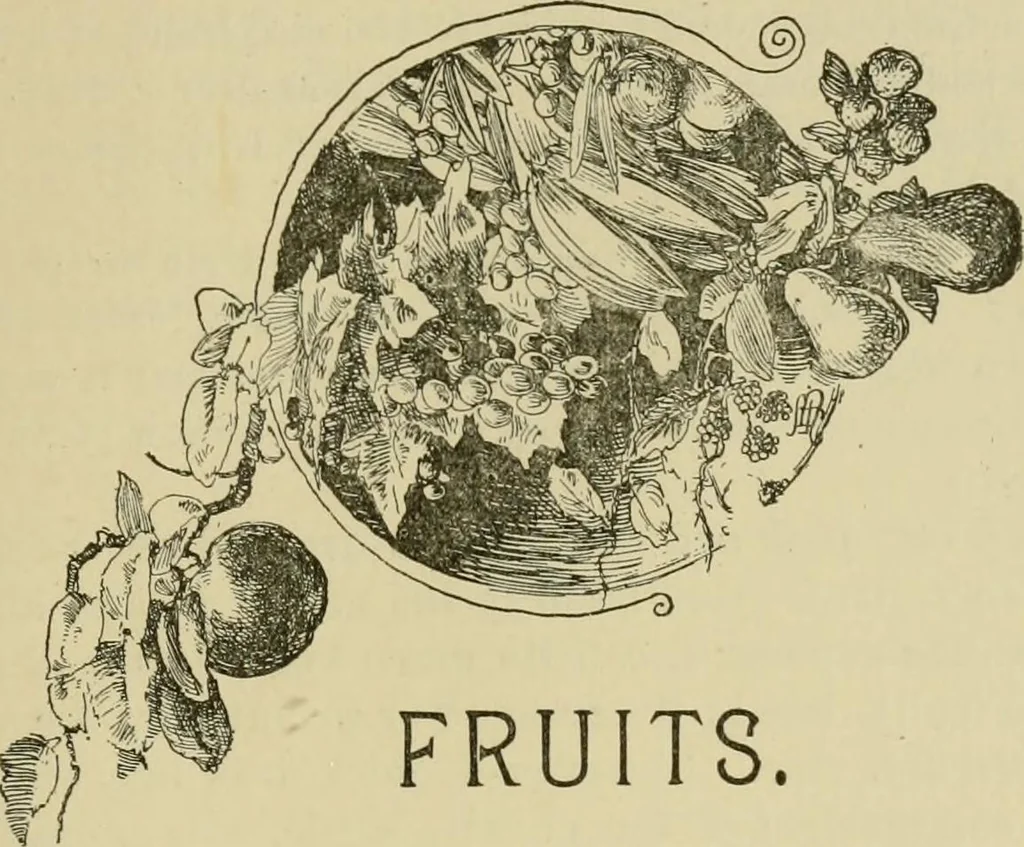 An illustration from In the child's world; morning talks and stories for kindergartens, primary schools and homes, 1893, leaf 20