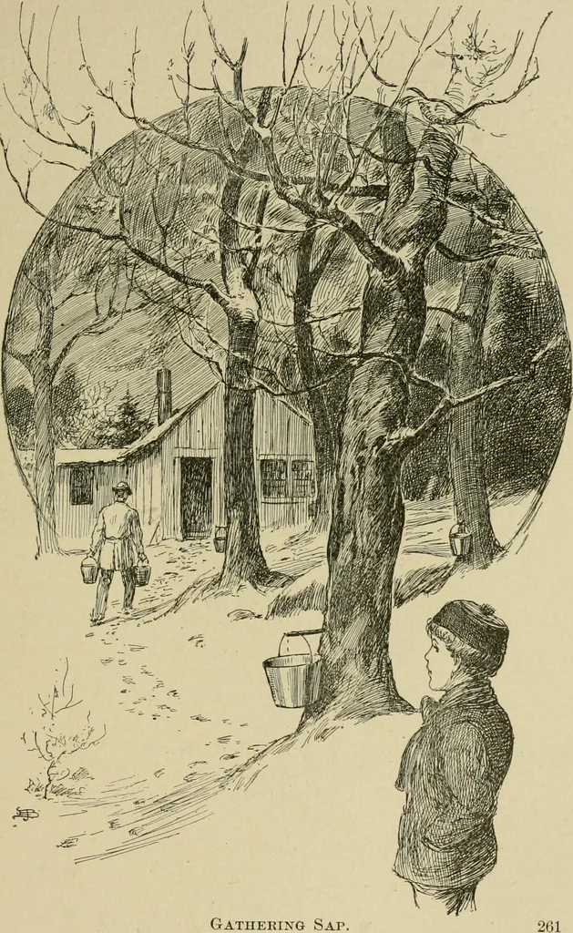 An illustration from In the child's world; morning talks and stories for kindergartens, primary schools and homes, 1893, leaf 278