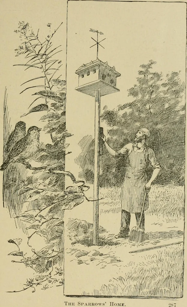 An illustration from In the child's world; morning talks and stories for kindergartens, primary schools and homes, 1893, leaf 304