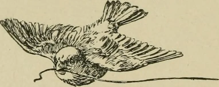 An illustration from In the child's world; morning talks and stories for kindergartens, primary schools and homes, 1893, leaf 309