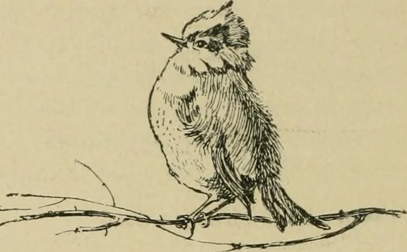 An illustration from In the child's world; morning talks and stories for kindergartens, primary schools and homes, 1893, leaf 31