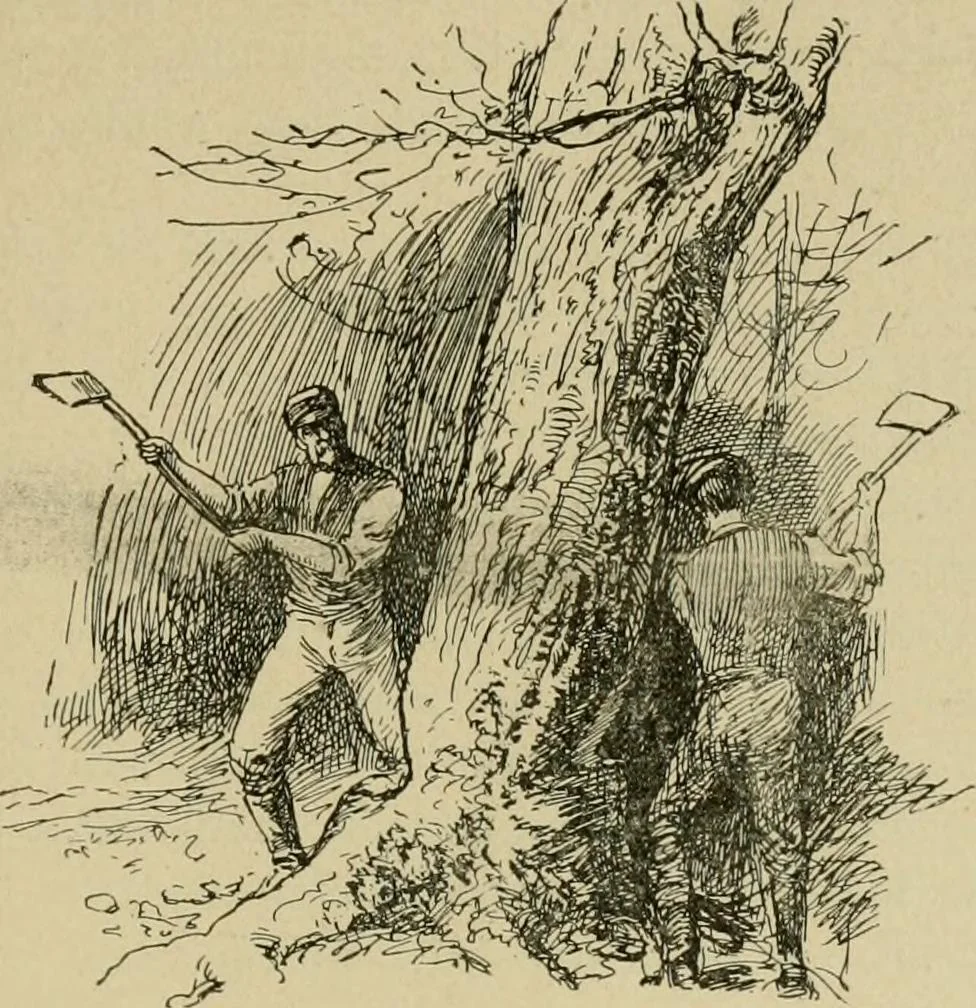 An illustration from In the child's world; morning talks and stories for kindergartens, primary schools and homes, 1893, leaf 34