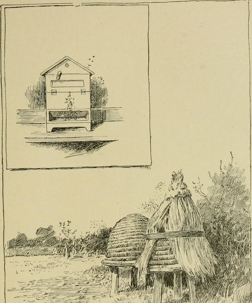 An illustration from In the child's world; morning talks and stories for kindergartens, primary schools and homes, 1893, leaf 372