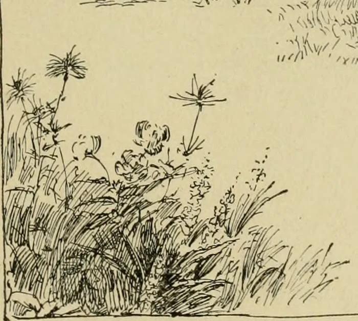 An illustration from In the child's world; morning talks and stories for kindergartens, primary schools and homes, 1893, leaf 372