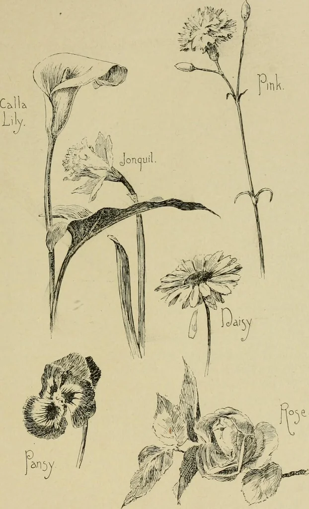 An illustration from In the child's world; morning talks and stories for kindergartens, primary schools and homes, 1893, leaf 386