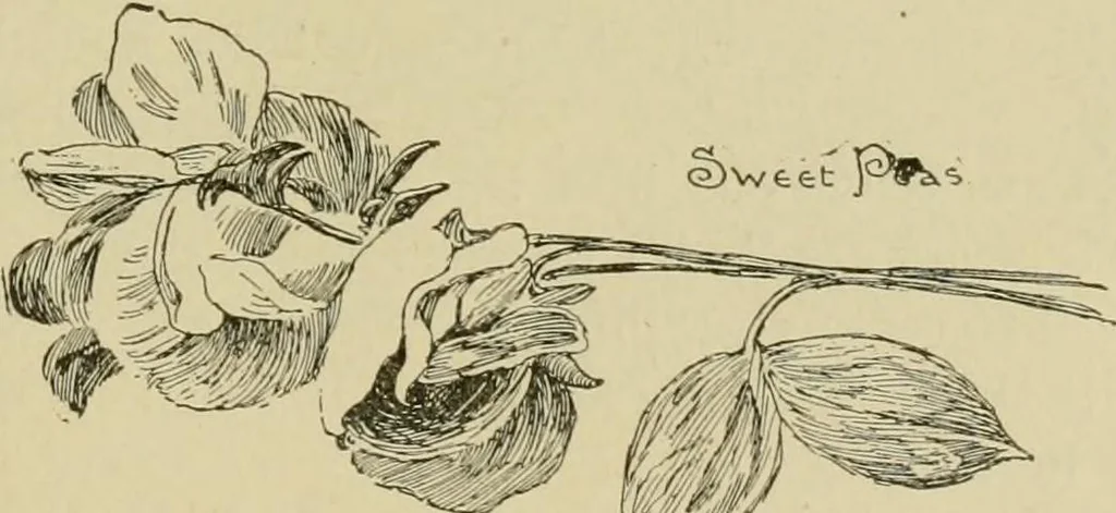 An illustration from In the child's world; morning talks and stories for kindergartens, primary schools and homes, 1893, leaf 70