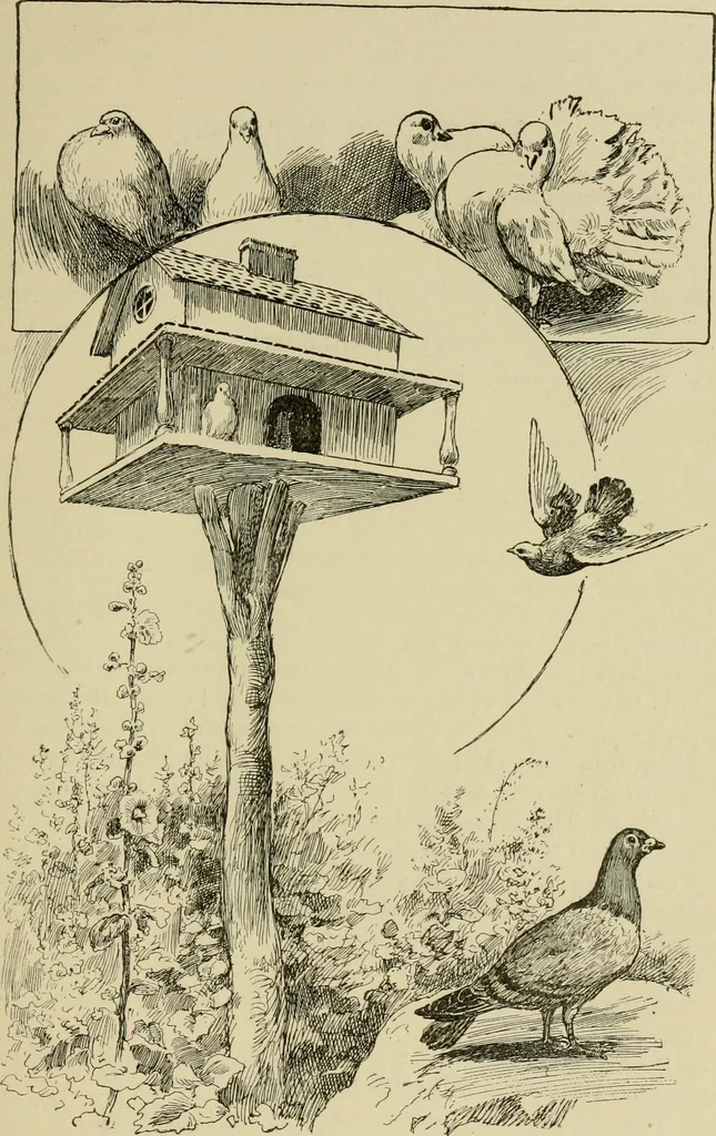 An illustration from In the child's world; morning talks and stories for kindergartens, primary schools and homes, 1893, leaf 92