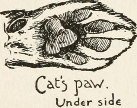 An illustration from In the child's world : morning talks and stories for kindergartens, primary schools and homes, 1893, leaf 161