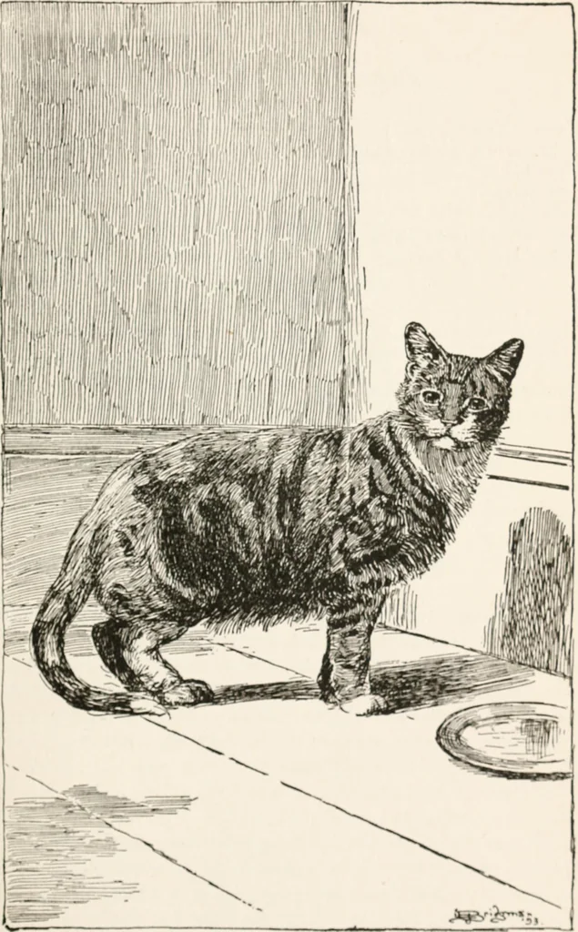 An illustration from In the child's world : morning talks and stories for kindergartens, primary schools and homes, 1893, leaf 162