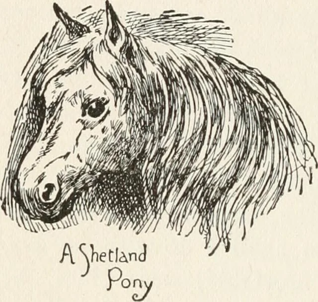 An illustration from In the child's world : morning talks and stories for kindergartens, primary schools and homes, 1893, leaf 167