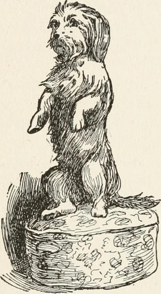 An illustration from In the child's world : morning talks and stories for kindergartens, primary schools and homes, 1893, leaf 193