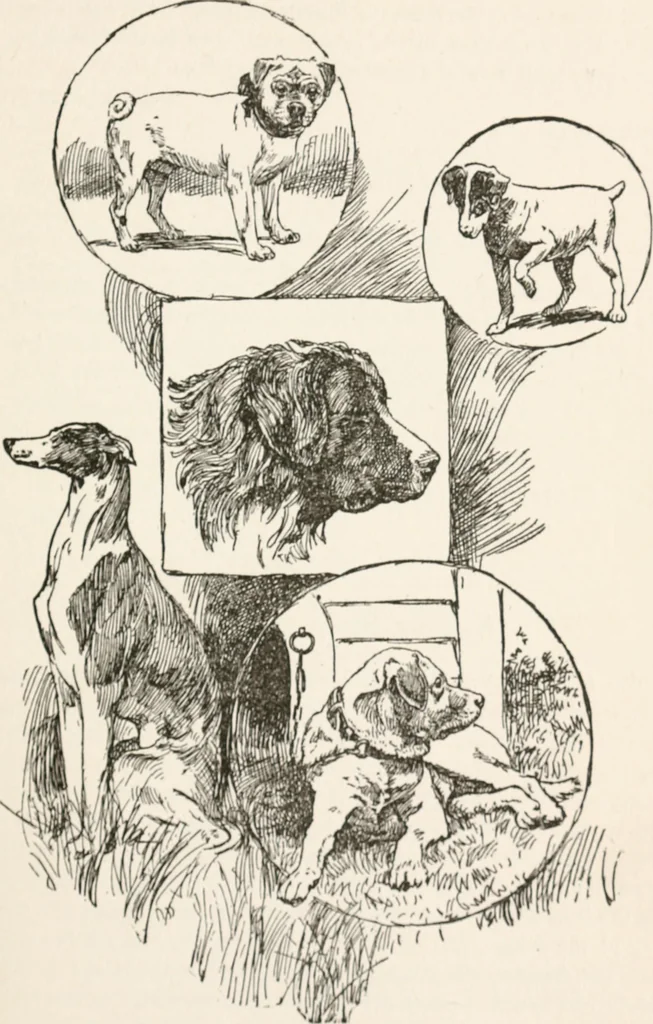 An illustration from In the child's world : morning talks and stories for kindergartens, primary schools and homes, 1893, leaf 198